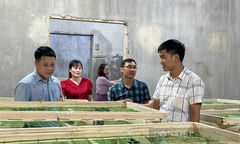 Thanh niên 8X biến 0,75ha đất cằn thành  "đế chế tơ lụa ", kiếm tiền tỷ mỗi năm