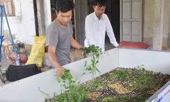 8X từ bỏ ánh đèn đô thị, bí mật về quê làm giàu từ con vật  "thích phiêu lưu "
