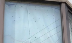 Thấy ruồi bu kín cửa sổ, người đàn ông bàng hoàng phát hiện bi kịch thương tâm