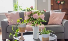 Món đồ không nên đặt trên bàn trà kẻo ảnh hưởng đến phong thủy