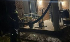  "Kẻ lạ mặt " nặng gần 27kg đột nhập lúc nửa đêm, cả gia đình khiếp sợ