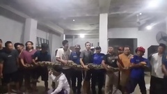 Clip: Rợn người cảnh bắt  "trăn khổng lồ " 100kg trên mái nhà