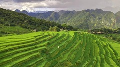 Một ngày phượt vùng núi Pù Luông đẹp như thiên đường