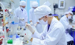 Bộ GD&ĐT công bố điểm sàn nhóm ngành sức khỏe năm 2025, ngành Răng - Hàm - Mặt 20,5 điểm
