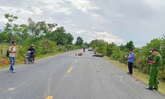 Tông vào bò thả rông trên quốc lộ 25, thanh niên đi xe máy tử vong tại chỗ