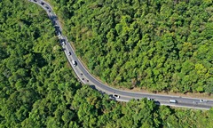 Khám phá Đà Lạt qua những cung đường đèo hùng vĩ