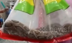 Clip: Bị rắn cắn, người đàn ông làm điều  "điên rồ " khiến bác sĩ kinh ngạc