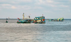 Thích thú đi cảng cá Thổ Chu sớm mai