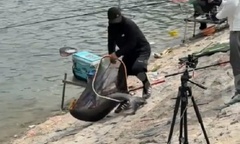 Clip: Cần câu gãy đôi nhưng người đàn ông vẫn câu được  "thủy quái " khủng 