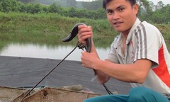 Bỏ phố về quê nuôi  "thủy quái " da trơn, kỹ sư 9X bán  "đắt " vẫn  "cháy hàng "