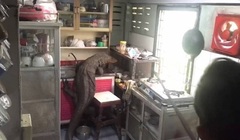 Clip: Người phụ nữ bủn rủn tay chân, hét lên thất thanh khi thấy  "quái vật " khổng lồ, đen sì, da nhắn nheo bò trong bếp