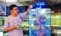 Gác bằng kỹ sư, 9X về quê  "đổi dòng " ngoạn mục, bắt  "dòng tiền " chảy ra từ... hồ cá