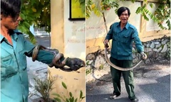 Tin thời sự hôm nay (5/8): Rắn  "khổng lồ " xuất hiện trong nhà dân ở TP.HCM
