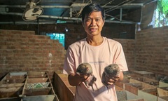 Bỏ nghề hào nhoáng, 8X Đà Nẵng về quê nuôi con vật  "chỉ ăn tre với mía " và cái kết không thể ngờ tới sau 9 năm