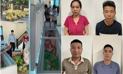 Tạm giữ 4 người ở Thanh Hóa gom heo mắc dịch tả heo châu Phi bán ra thị trường