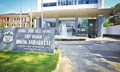 Lý do Công ty Cổ phần Hoàng Anh Gia Lai bị xử phạt