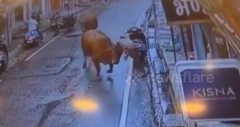 Clip: Đang đứng trên đường, người đàn ông bị  "bò điên " húc văng, bị thương nặng