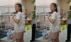 Phẫn nộ: Cô gái trẻ vào quán cà phê mèo, hành hạ 4 con mèo tử vong vì  "tâm trạng không tốt "