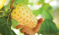 Loại quả có mùi lạ, có nhiều ở khu vực Nam Bộ: Người bịt mũi chạy xa, người sành ăn lại coi là  "thần dược ", săn lùng bằng được