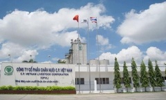 Tình hình kinh doanh của đại gia nuôi heo C.P tại thị trường Việt Nam ra sao?