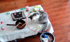 Camera tố cáo  "thủ phạm " trộm vòng vàng trị giá 110 triệu đồng