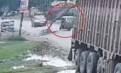 Clip: Đang đi trên đường, xe ba bánh bị cây xoài khô đổ đè trúng, 4 người nhập viện