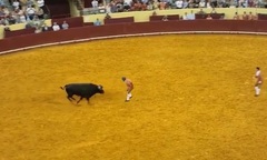 Bi kịch tại đấu trường: Đấu sĩ trẻ bỏ mạng dưới cú húc chí mạng của bò tót khổng lồ