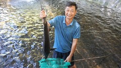 Bỏ phố về rừng sâu, mất sạch vốn liếng sau một đêm, giờ thành  "vua " cá, mỗi ngày đếm tiền mỏi tay