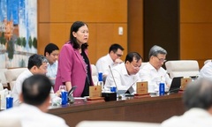 Thanh tra các dự án có nguy cơ thất thoát, lãng phí đến 30/9 cơ bản xong