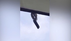 Nhìn ra cửa sổ, học sinh và giáo viên sợ hãi la hét, khi thấy thứ  "đáng sợ " treo lủng lẳng bên ngoài