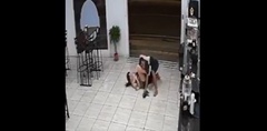 Bất ngờ bị cướp giật túi xách, cô gái ra tay tung đòn  "hiểm " hạ gục kẻ gian