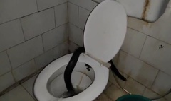 Bác sĩ kinh hoàng la hét khi chứng kiến cảnh tượng rùng rợn trong phòng tắm