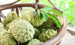 Mẹo chọn na chín cây tự nhiên