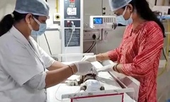 Đi chăn dê, người đàn ông hoảng hồn phát hiện bé sơ sinh bị lấp dưới đất 
