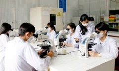 Hà Nội là địa phương đang tập trung nhiều giáo sư, phó giáo sư nhất
