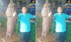 Ngư dân bắt được cá mú  "khủng " nặng 125kg, trị giá hơn 127 triệu đồng