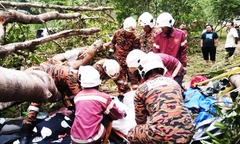 Cây lớn bất ngờ đổ trúng lều cắm trại, người phụ nữ tử vong thương tâm, chồng và con trai bị thương