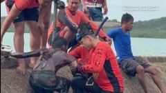 Siêu bão Ragasa: Lật thuyền ngoài khơi Philippines, 7 người thiệt mạng, mất tích