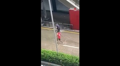 Clip: Người dân đổ xô ra đường đi bắt cá sau bão Ragasa 