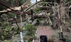 Bão Bualoi tàn phá Philippines nặng nề, ghi nhận nhiều thương vong