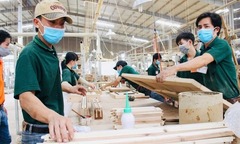 Sau Nghị quyết 68, mỗi tháng hơn 19.000 doanh nghiệp thành lập mới 