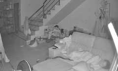 Clip: Trăn lưới 3 mét bò lên sofa, cụ bà 70 tuổi thoát chết chỉ vì một hành động
