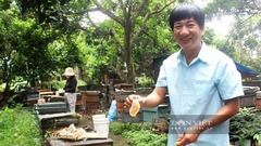 Độc lạ: Lão nông Đồng Nai phát minh ra mật ong dạng bột, được cấp bằng sáng chế