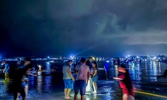 Người dân Ninh Bình trắng đêm  "săn lộc biển " sau bão, thu về hàng tấn ngao sò