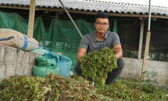Mất trắng gần nửa tỷ đồng sau 2 năm khởi nghiệp, kỹ sư Điện lực lật ngược thế cờ nhờ công thức  "bí truyền " không ai biết