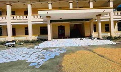 Xúc động hình ảnh học sinh vùng lũ ở Nghệ An cặm cụi phơi sách trên sân lúa 
