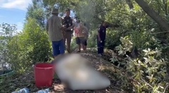 Sau khi bị kiến cắn, người đàn ông 39 tuổi tử vong thương tâm