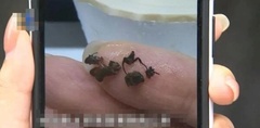 Đang uống trà sữa, người phụ nữ  "rợn tóc gáy " khi phát hiện vật thể lạ bên trong