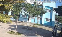 Vụ thầy giáo chửi bới, bóp cổ đồng nghiệp ở Đắk Lắk: Bộ GD&ĐT yêu cầu báo cáo