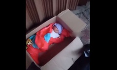 Chạy ra kiểm tra hộp carton sau tiếng khóc, sự thật khiến ai cũng bàng hoàng